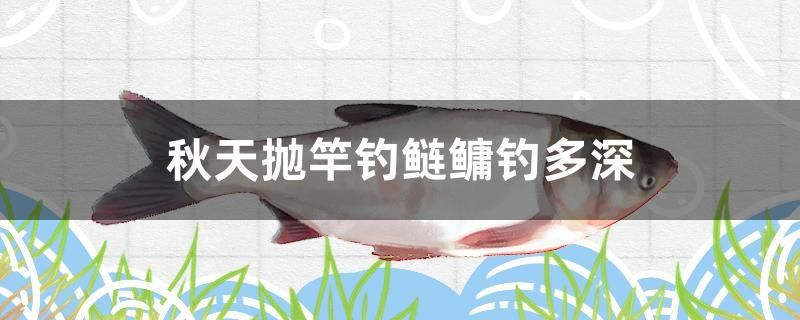 秋天拋竿釣鰱鳙釣多深