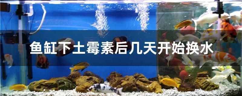 鄭州華南城有賣魚缸嗎在哪（ 鄭州華南城漁具批發(fā)市場在哪個區(qū)）