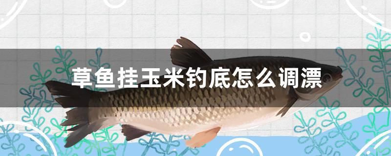 草魚掛玉米釣底怎么調(diào)漂 羅漢魚