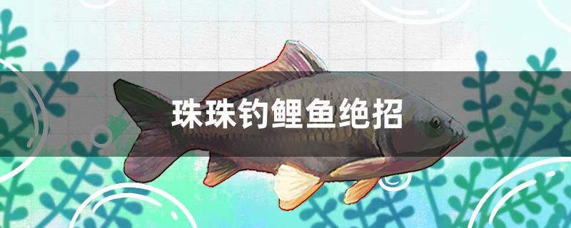 珠珠釣鯉魚絕招