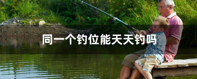 同一個釣位能天天釣嗎 食人魚（水虎）