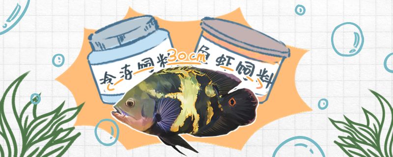 地圖魚喂什么飼料可以喂雞肉嗎 黑云魚 第1張