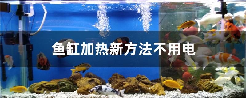 魚缸加熱什么新方法不用電 水族用品