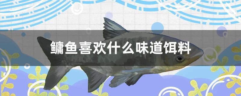 鳙魚喜歡什么味道餌料