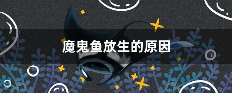 魔鬼魚放生的原因