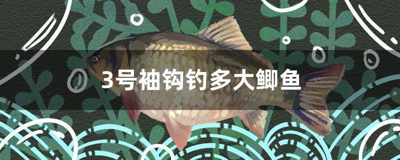 3號袖鉤釣多大鯽魚 2024第28屆中國國際寵物水族展覽會CIPS（長城寵物展2024 CIPS）