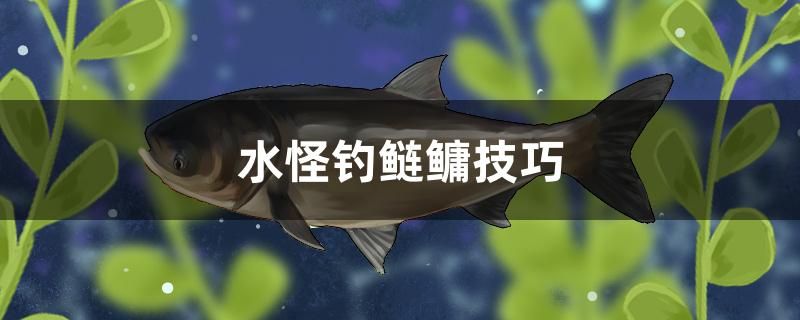 水怪釣鰱鳙技巧