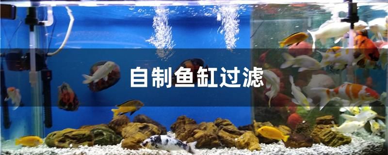 如何自制魚(yú)缸過(guò)濾