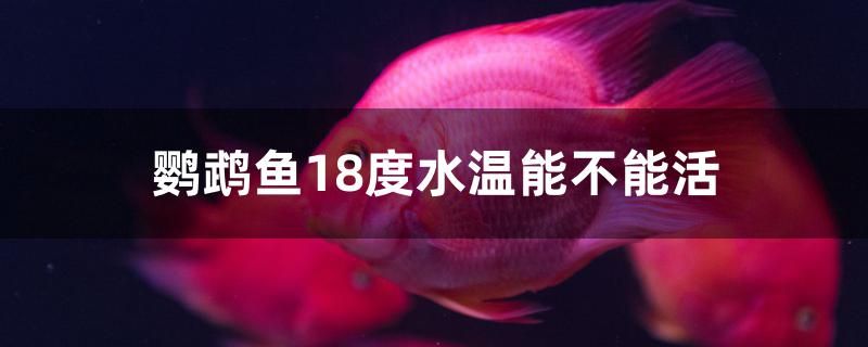 鸚鵡魚(yú)18度水溫能不能活