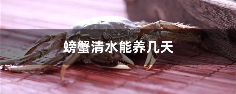 1米2魚缸用多少w的水泵水泵有什么作用 丹頂錦鯉魚 第2張