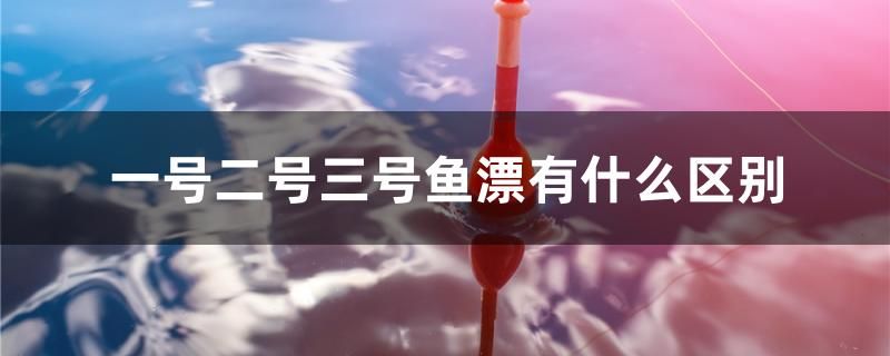 一號二號三號魚漂有什么區(qū)別