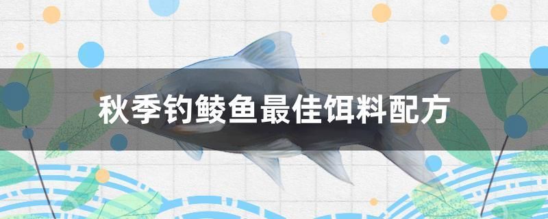 秋季釣鯪魚(yú)最佳餌料配方