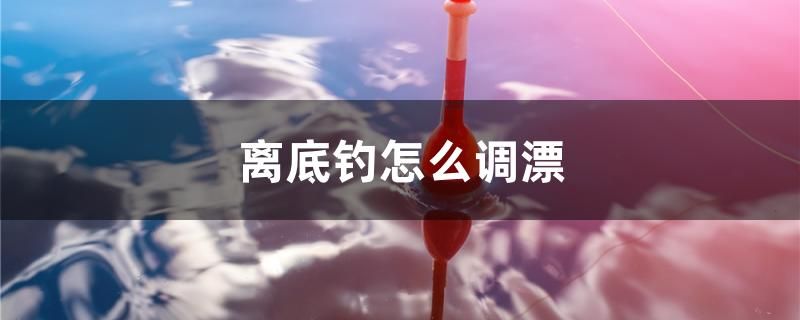 離底釣怎么調(diào)漂