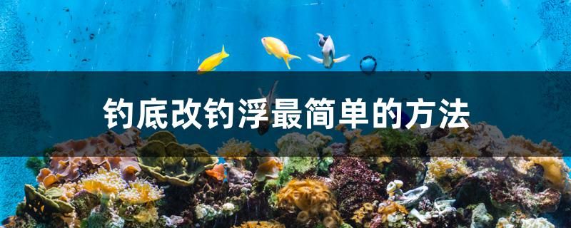 釣底改釣浮最簡(jiǎn)單的方法 龍魚(yú)百科