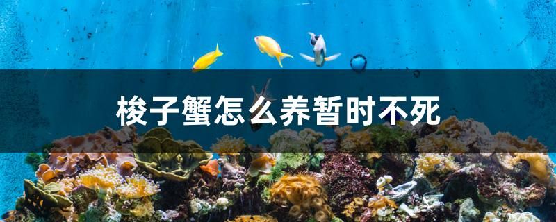 魚缸怎樣清洗（魚缸里面怎么清洗） 金老虎魚 第1張