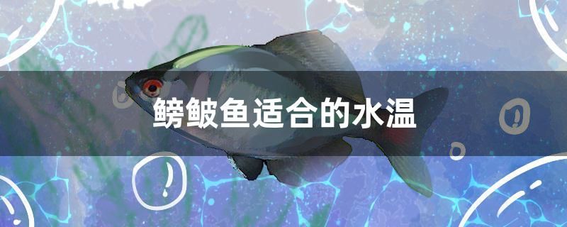 鳑鲏?mèng)~適合的水溫是多少 硝化細(xì)菌