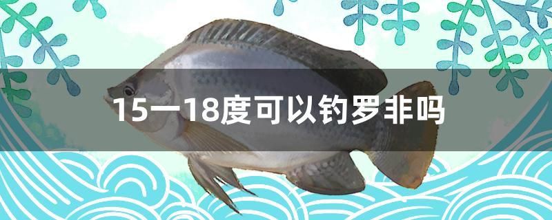 魚缸怎樣清洗（魚缸里面怎么清洗） 金老虎魚 第2張