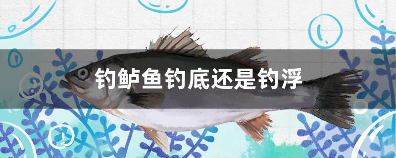 釣鱸魚釣底還是釣浮 孵化器