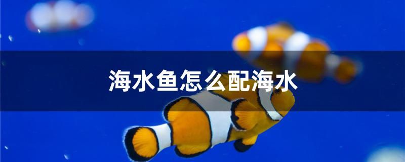 海水魚怎么配海水