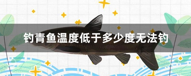 吉印燈怎么樣?。?吉印 燈） 羅漢魚