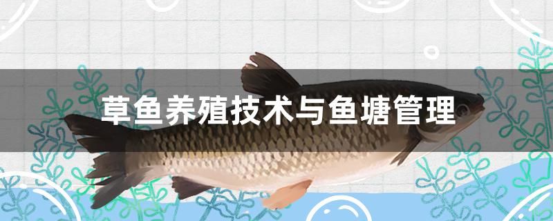 草魚的養(yǎng)殖技術(shù)與魚塘管理是什么