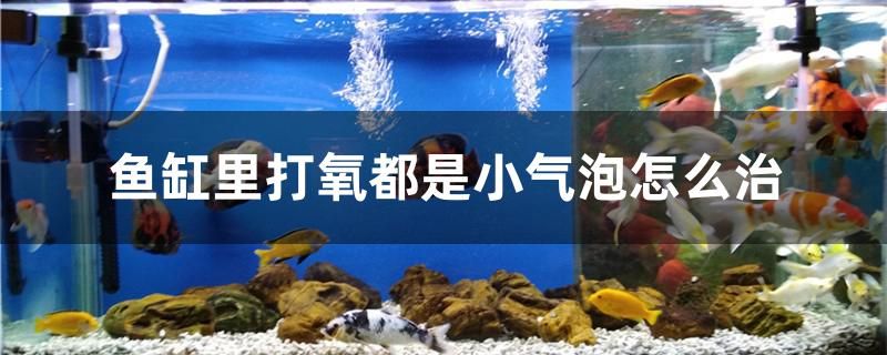 魚缸里打氧都是小氣泡怎么治 2024第28屆中國國際寵物水族展覽會CIPS（長城寵物展2024 CIPS）