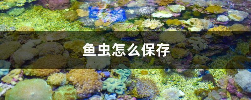 魚蟲怎么保存