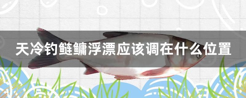 天冷釣鰱鳙浮漂應(yīng)該調(diào)在什么位置 祥龍魚場(chǎng)