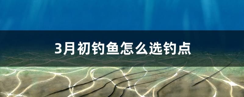 3月初釣魚怎么選釣點(diǎn)