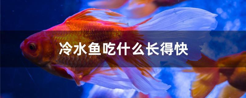 陽臺放個(gè)魚缸風(fēng)水好不好圖片（陽臺放個(gè)魚缸，總重900斤安全嗎） 祥龍赫舞紅龍魚 第1張