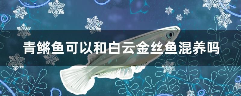 長春魚缸維修哪家好啊多少錢啊 長春魚缸批發(fā)市場定做 孵化器