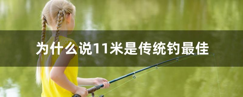 為什么說11米是傳統(tǒng)釣最佳 野彩魚