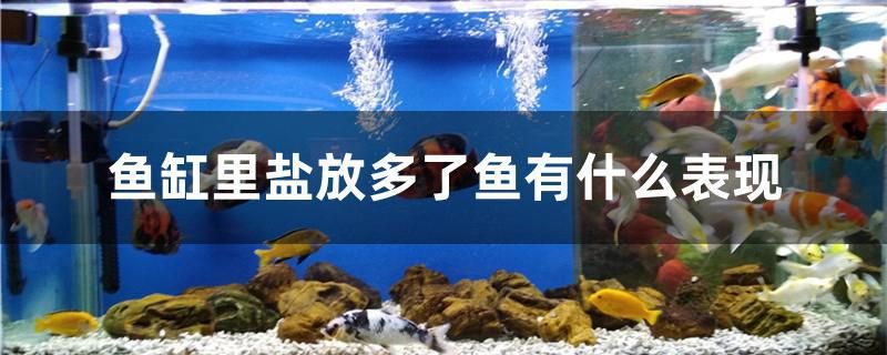 魚缸造景沙子需要清洗嗎 魚缸放入造景沙后水渾濁 觀賞魚