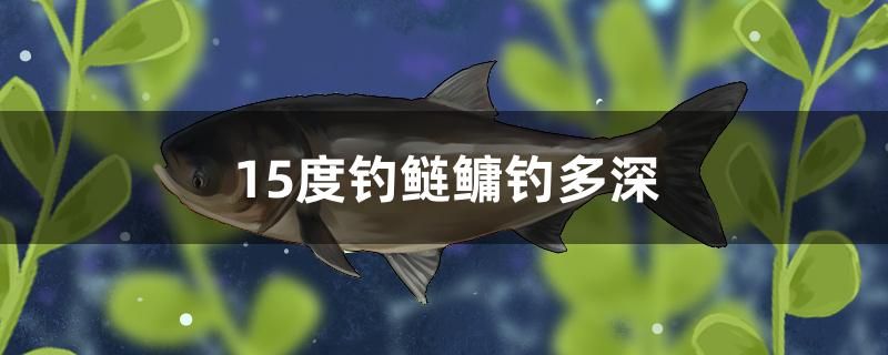 15度釣鰱鳙釣多深