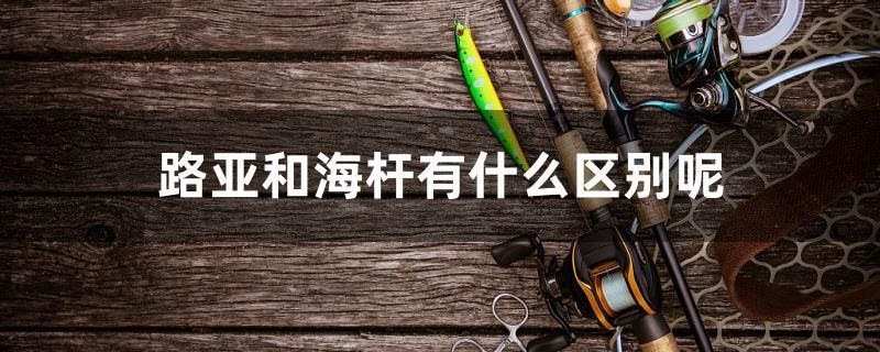 路亞和海桿有什么區(qū)別呢 白化火箭