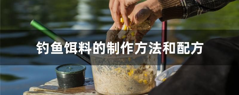 釣魚餌料的制作方法和配方 白條過背金龍魚