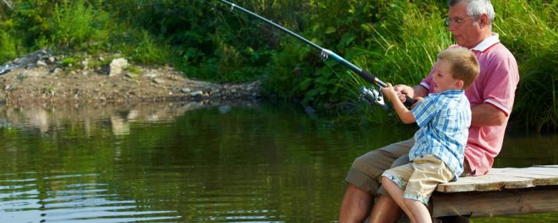 秋冬季陰天釣魚好釣嗎選擇什么位置 元寶鳳凰魚專用魚糧