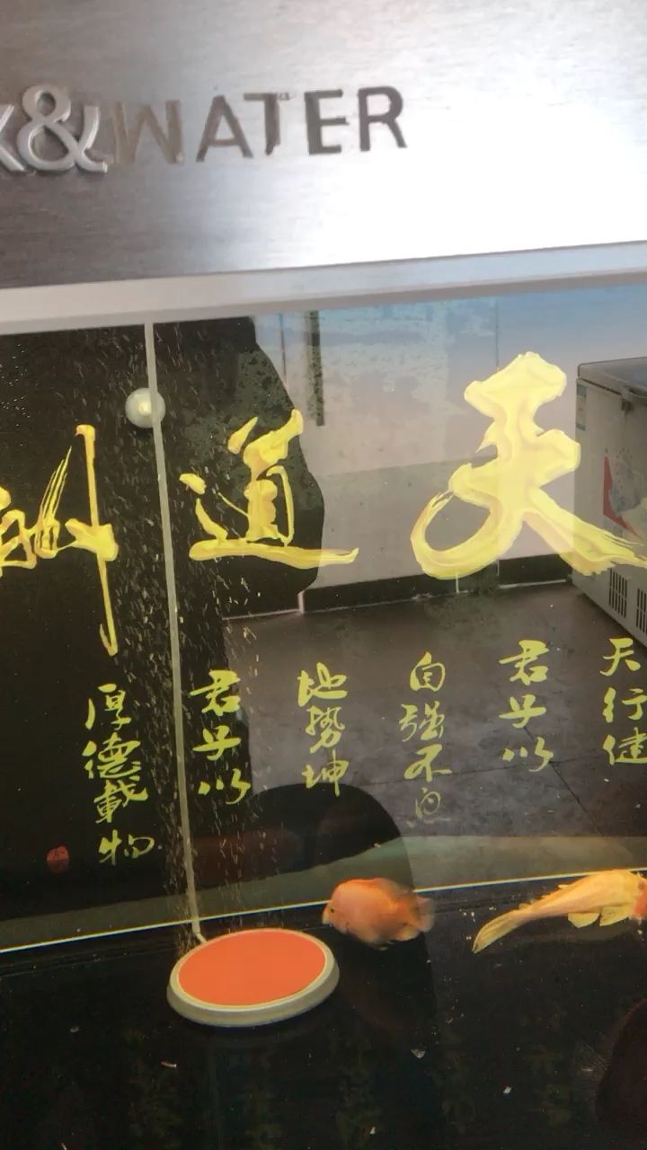 小型魚(yú)缸循環(huán)過(guò)濾水泵怎么工作使用（威樂(lè)w9循環(huán)水泵設(shè)置說(shuō)明） 福滿鉆魚(yú) 第2張