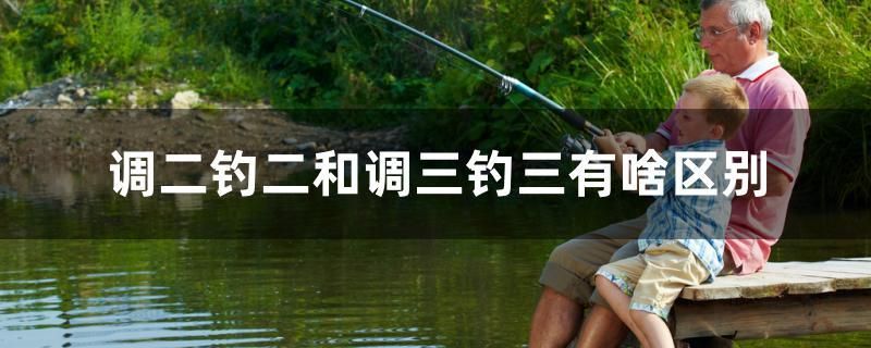 調(diào)二釣二和調(diào)三釣三有啥區(qū)別 賽級紅龍魚