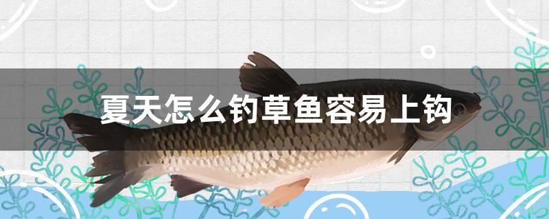 夏天怎么釣草魚容易上鉤 白子銀版魚