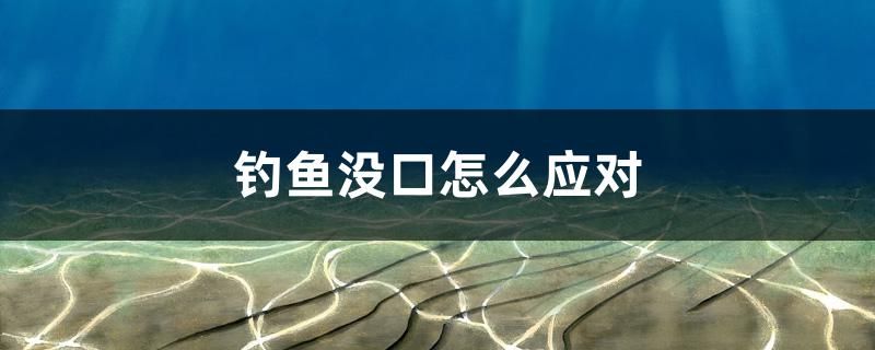 釣魚沒口怎么應對 蝴蝶鯉魚苗