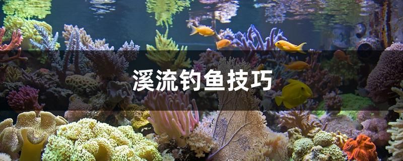 溪流釣魚技巧 斑馬狗頭魚