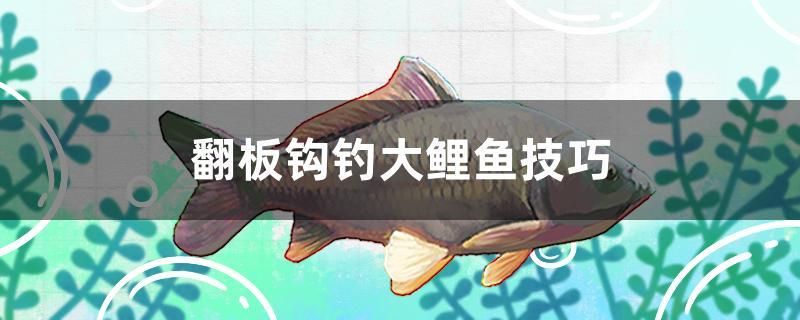 翻板鉤釣大鯉魚技巧