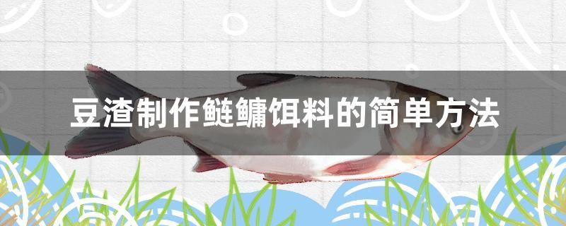 豆渣制作鰱鳙餌料的簡單方法 巨骨舌魚