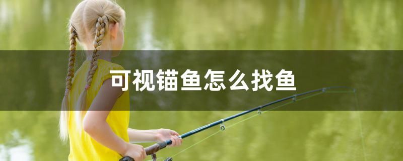 可視錨魚怎么找魚 祥龍赫舞紅龍魚