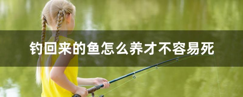 釣回來的魚怎么養(yǎng)才不容易死 黑白雙星魚