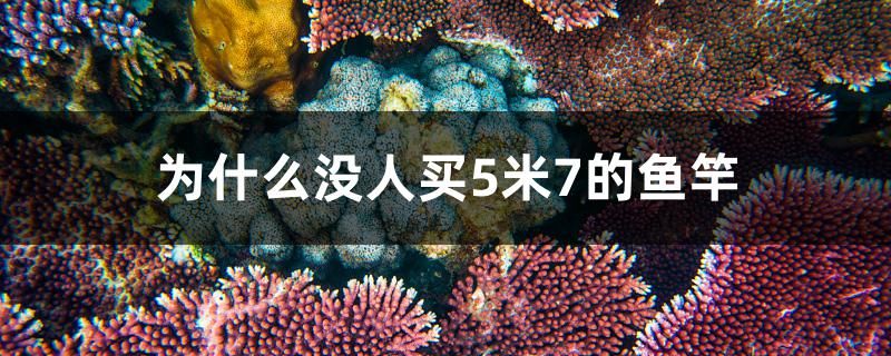 為什么沒人買5米7的魚竿