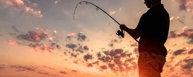 夜晚釣魚釣深還是釣淺釣近還是釣遠 白子紅龍魚