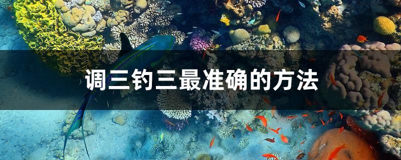 調(diào)三釣三最準(zhǔn)確的方法 肺魚(yú)