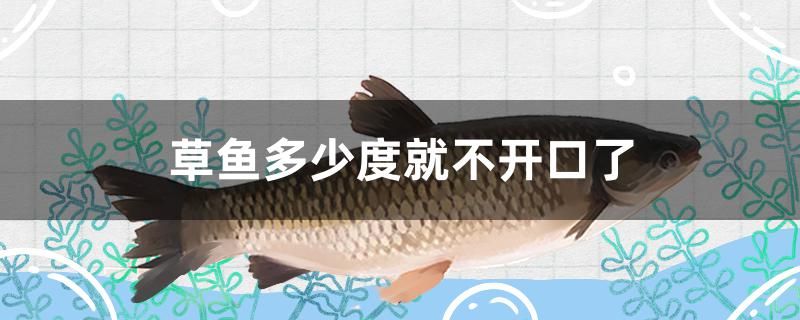 草魚(yú)多少度就不開(kāi)口了